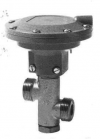 VVP44...