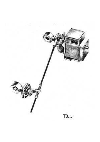 T3