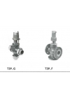 T3