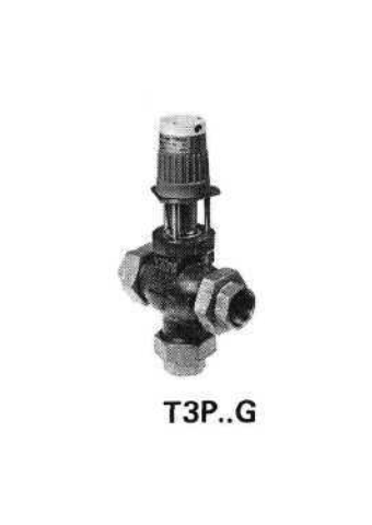 T3P...G