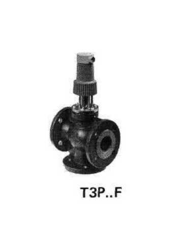 T3P...G