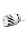 STE...